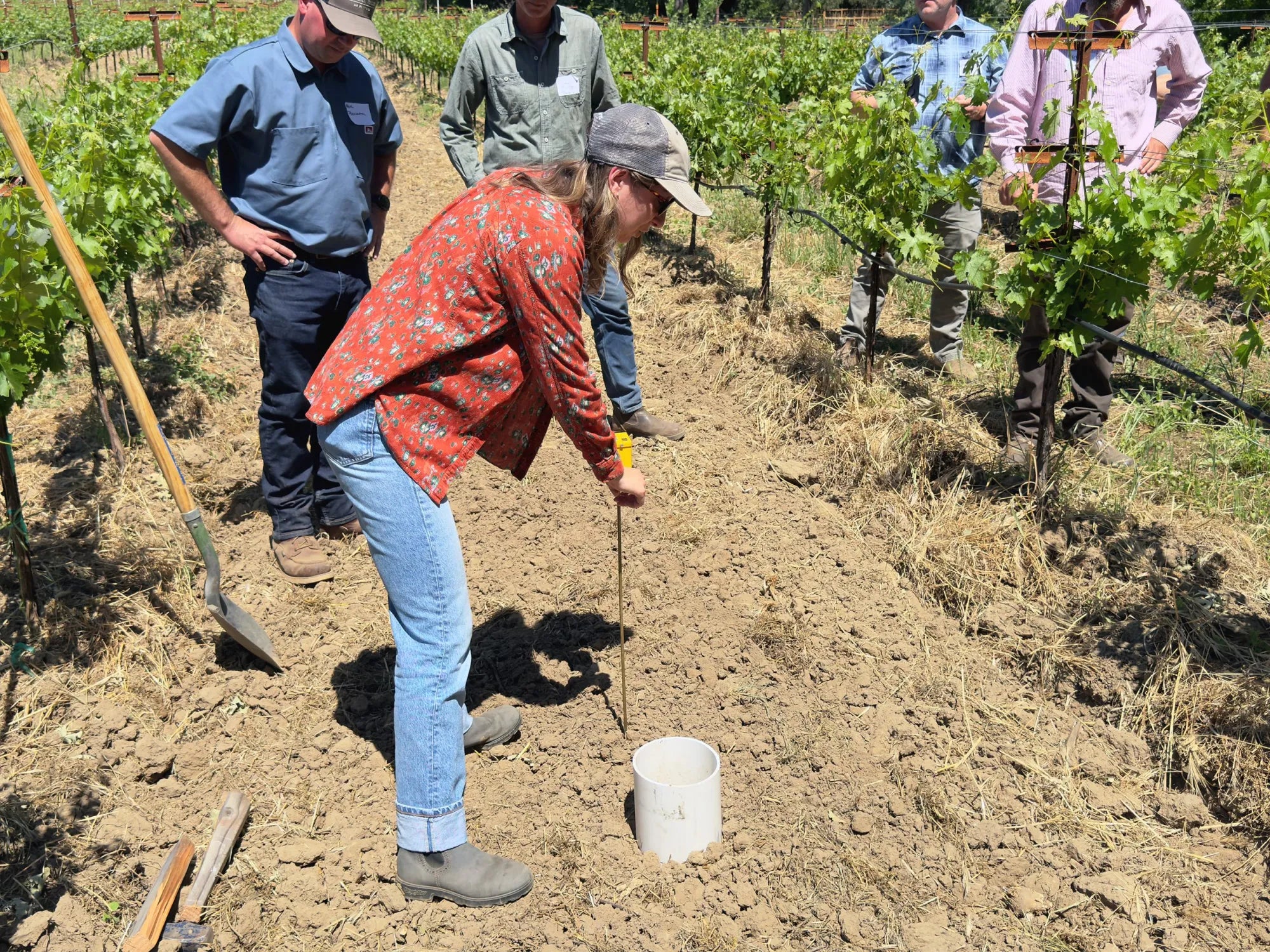The Mendocino Voice: On Mendocino Ridge, a winemaker says wine’s real problem is trust