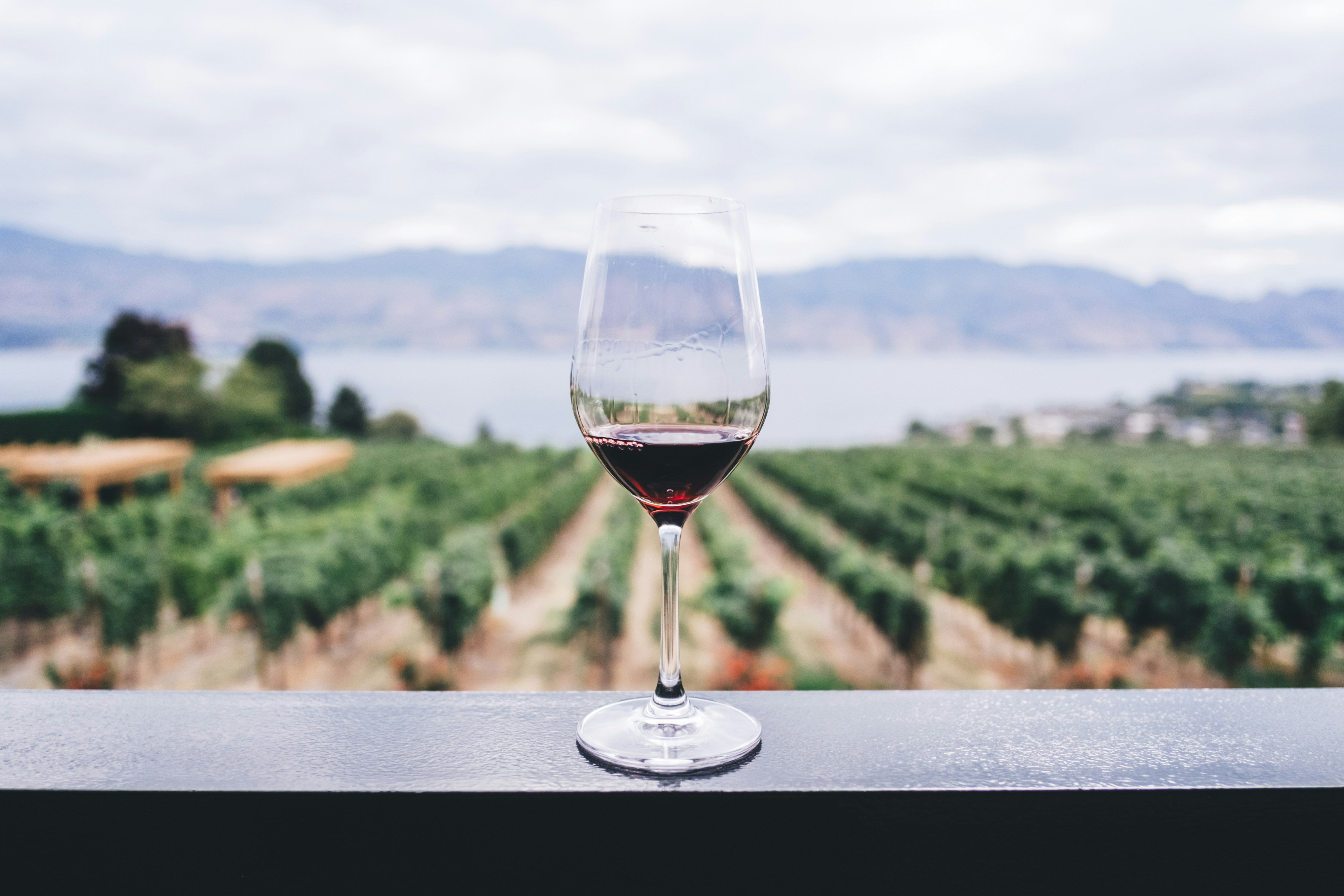 What is glyphosate, and why are we drinking it in our wine?